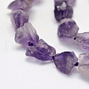 Rough Raw Natural Amethyst Beads Strands G-K202-23-3