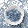 Glass Seed Beads SEED-H002-E-A1415-2