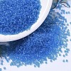 MIYUKI Delica Beads SEED-X0054-DB1318-1