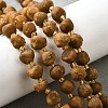 Raw Rough Natural Amber Beads Strands G-U023-D01-1