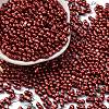 Baking Paint Glass Seed Beads SEED-L011-12A-05-1
