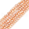 Natural Cultured Freshwater Pearl Beads Strands PEAR-P064-19B-05C-2