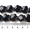 Dyed & Heated Natural Black Agate Beads Strands G-F769-A01-01-5