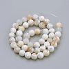 Natural Fire Crackle Agate Beads Strands X-G-S249-09-8mm-2
