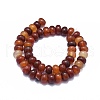 Natural Red Agate Beads Strands G-I245-68B-2