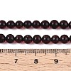 Natural Amber Beads Strands G-K387-D01-02-4