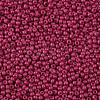 11/0 Grade A Baking Paint Glass Seed Beads X-SEED-N001-A-1058-2