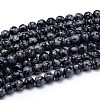 Natural Snowflake Obsidian Round Bead Strands G-J303-09-10mm-1