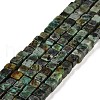 Natural African Turquoise(Jasper) Beads Strands G-G002-A03-1