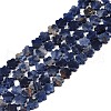 Natural Sodalite Beads Strands G-B138-C12-01-2