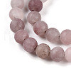 Natural Purple Aventurine Beads Strands G-T106-278-4