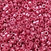 Baking Paint Glass Seed Beads SEED-S042-15A-05-3