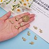 10Pcs Brass Micro Pave Clear Cubic Zirconia Pendants KK-SZ0005-37-2