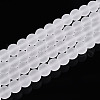 Transparent Glass Beads Strands GLAA-T032-T8mm-MD13-1