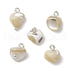 Natural Trochus Shell Nuggets Charms with Brass Loops PALLOY-JF03586-02-1
