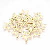 304 Stainless Steel Pendants STAS-G176-27G-1