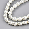 Baking Painted Pearlized Glass Pearl Bead Strands X-HY-T002-01B-02-2