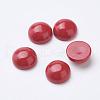 Synthetic Coral Cabochons G-F501-03-8mm-1