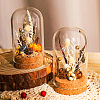Glass Dome Cloche Cover AJEW-BC0005-86-9