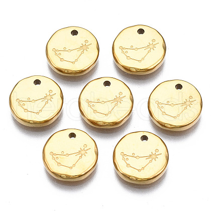 316 Surgical Stainless Steel Charms STAS-S116-418C-G-1