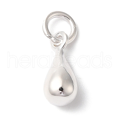 925 Sterling Silver Charms STER-M120-01C-S-1