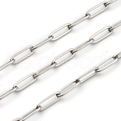 Non-Tarnish 304 Stainless Steel Paperclip Chains STAS-H111-04P-B-1