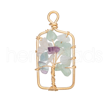 Natural Fluorite Chip Copper Wire Wrapped Pendants PW-WG397E3-04-1
