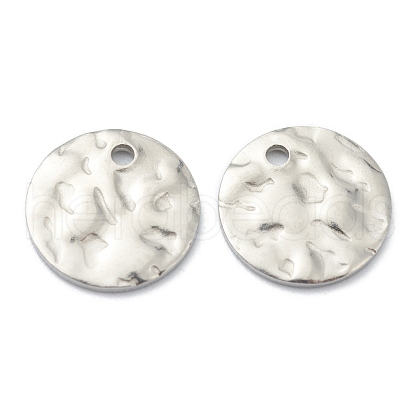 Tarnish Resistant 304 Stainless Steel Charms STAS-H157-03C-P-1
