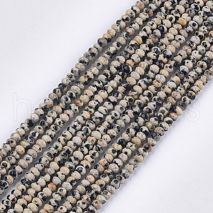 Natural Dalmatian Jasper Beads Strands G-S354-46-1