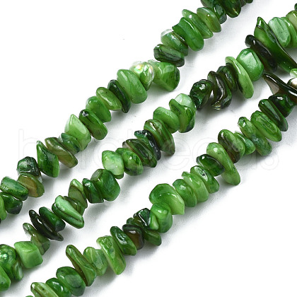 Natural Freshwater Shell Beads Strands SHEL-S278-070E-1