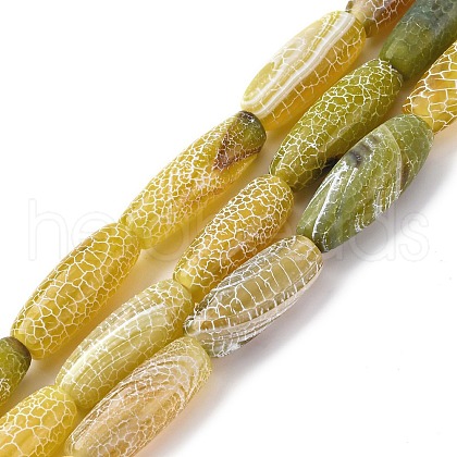 Natural Weathered Agate Beads Strands G-P570-C04-01-1