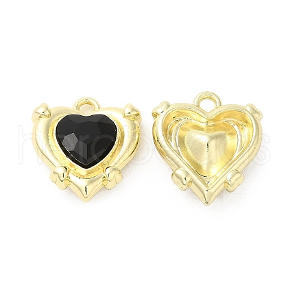 Alloy Pendant PALLOY-H128-10G-1