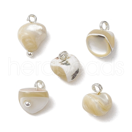 Natural Trochus Shell Nuggets Charms with Brass Loops PALLOY-JF03586-02-1