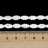 Natural Freshwater Shell Beads Strands BSHE-H109-02-5