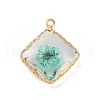 Brass Resin Pendants KK-U042-16G-03-1