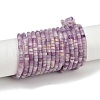Natural Lepidolite/Purple Mica Stone Beads Strands G-H230-80-2