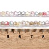 Handmade Lampwork Beads Strands LAMP-R020-01B-4