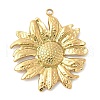 304 Stainless Steel Pendants STAS-L293-09A-G-1