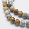 Natural Crazy Lace Agate Beads Strands G-K287-15-8mm-3