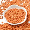 Baking Paint Glass Seed Beads X1-SEED-B001-02A-07-2