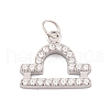 316 Stainless Steel Micro Pave Cubic Zirconia Pendants STAS-K284-01K-P-1