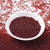 MIYUKI Round Rocailles Beads SEED-G007-RR0304-3