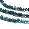 Natural Apatite Beads Strands G-RM2025-28-3mm-4