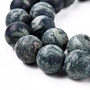 Frosted Natural Kambaba Jasper Beads Strands G-M272-14-8mm-5