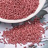 MIYUKI Delica Beads SEED-X0054-DB1841F-1