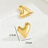 Luxury Metal Heart Design Ladies Earrings for Daily Wear WN2604-1