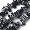 Dyed Natural Trochus Shell Beads Strands SSHEL-C013-09A-1