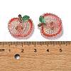 Fruit Transparent Epoxy Resin Decoden Cabochons CRES-I030-23H-3