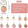   Natural Agate Charms G-PH0001-86-2
