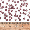 8/0 Frosted Round Glass Seed Beads X-SEED-A008-3mm-M16-3